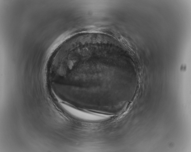 X0000090870295200708101339