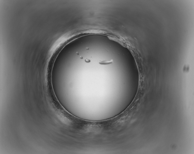 X0000090870296200708101339