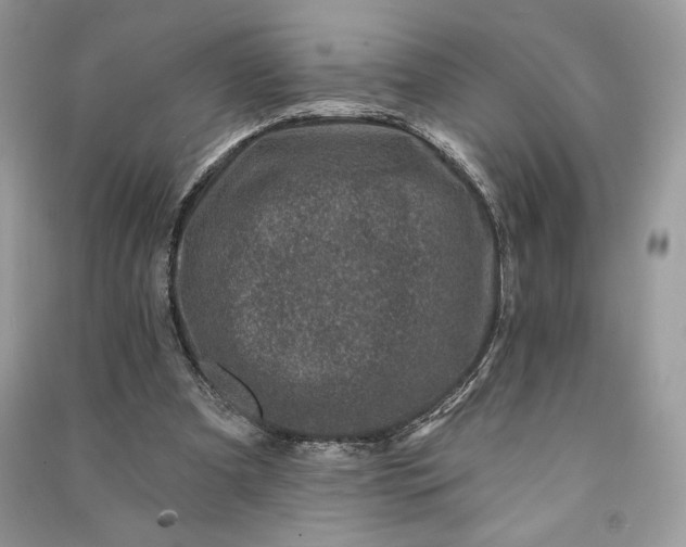 X0000090870297200708101339