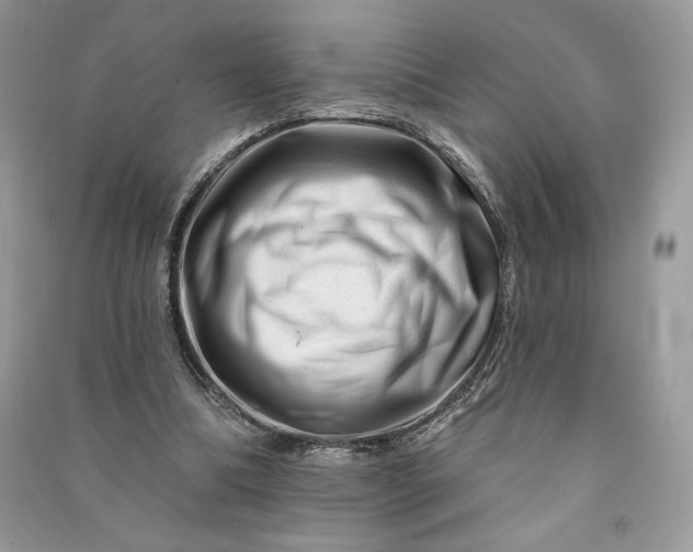 X0000090870298200708101339