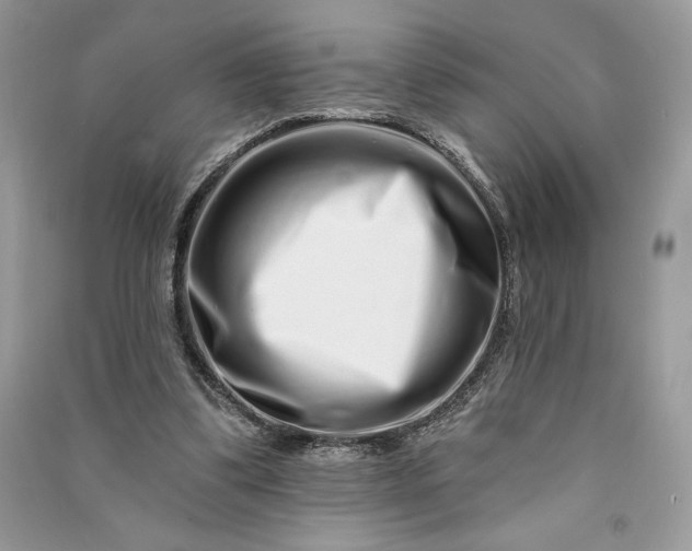 X0000090870299200708101339