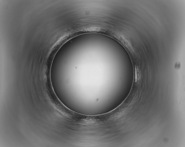 X0000090870300200708101339