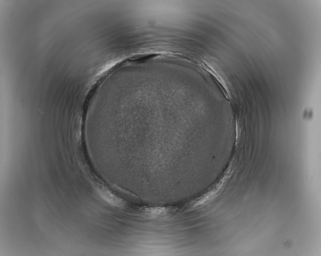 X0000090870301200708101339