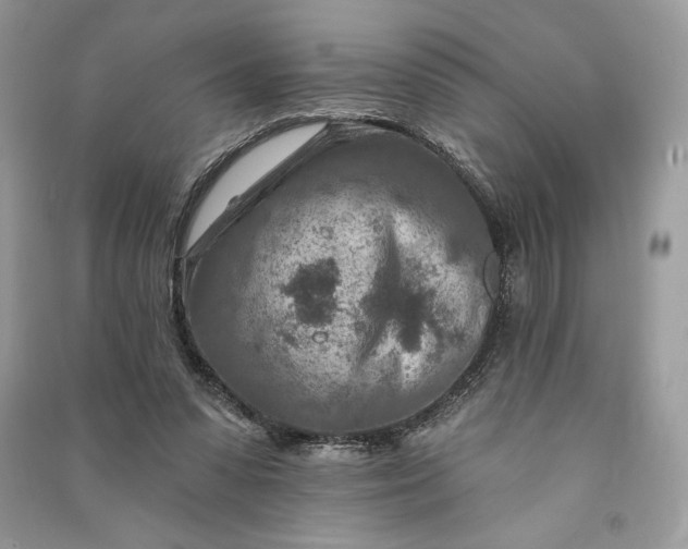 X0000090870303200708101339