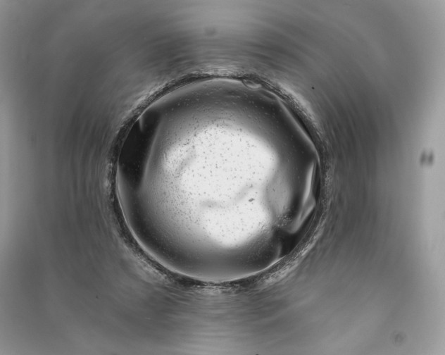 X0000090870305200708101339