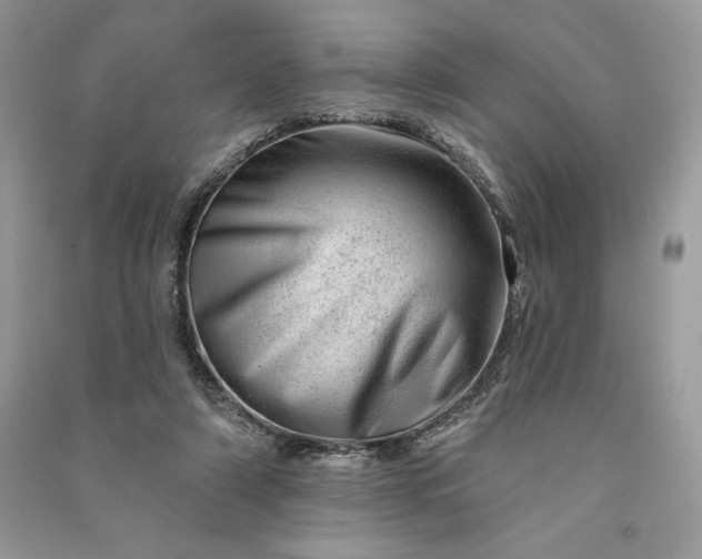 X0000090870306200708101339