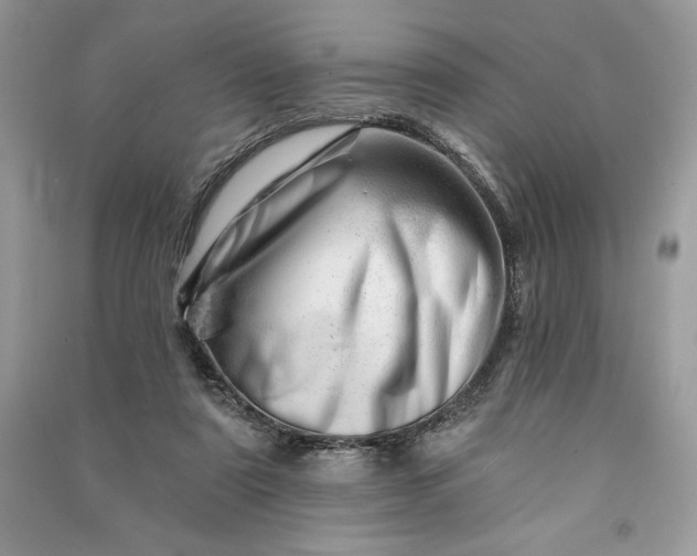 X0000090870307200708101339