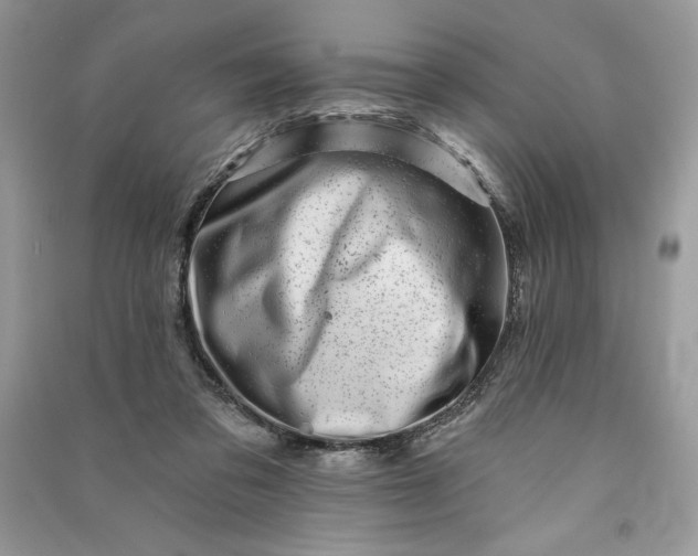 X0000090870309200708101339