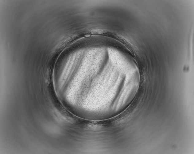 X0000090870311200708101339