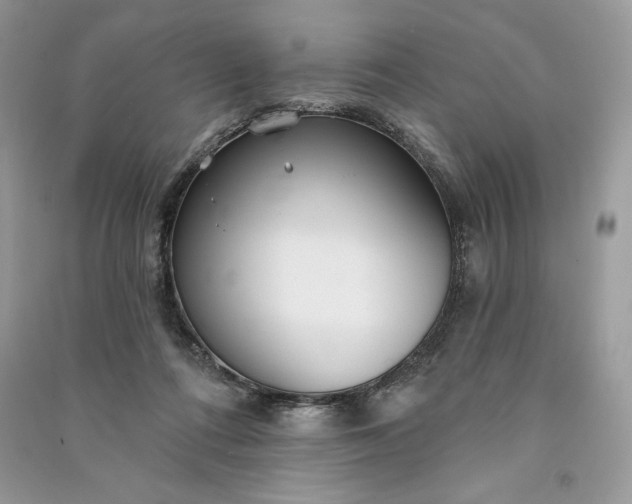 X0000090870312200708101339