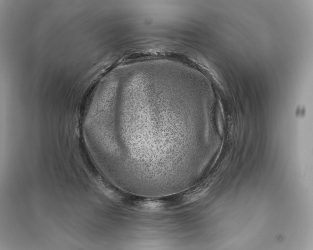 X0000090870313200708101339