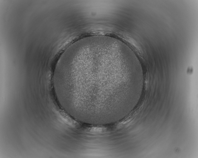 X0000090870314200708101339