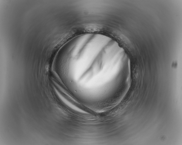 X0000090870315200708101339