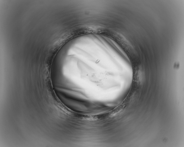 X0000090870318200708101339