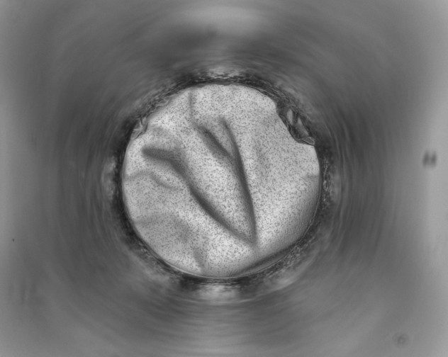 X0000090870319200708101339