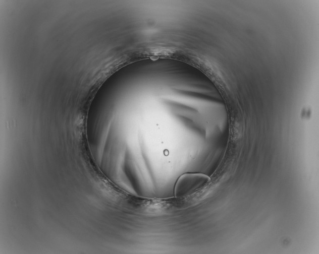 X0000090870321200708101339