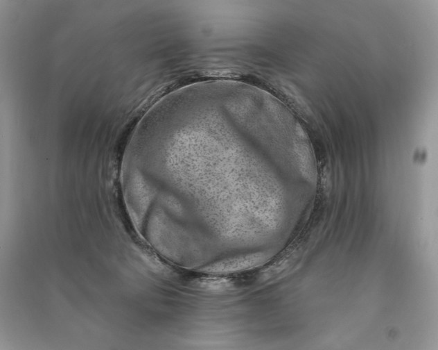 X0000090870322200708101339