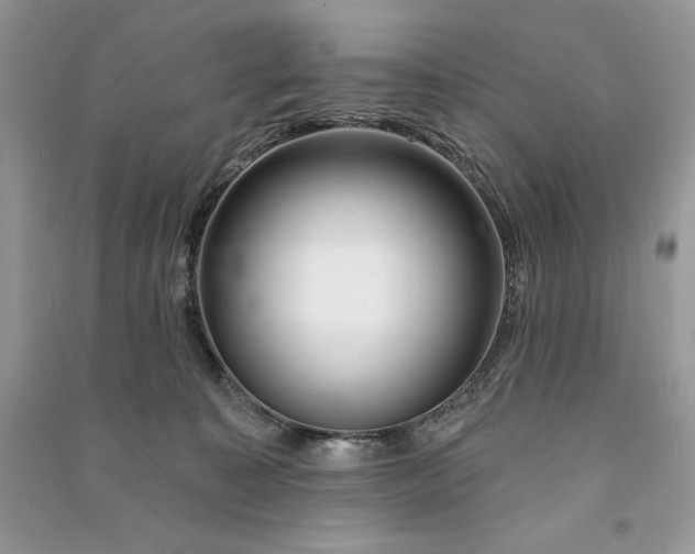 X0000090870323200708101339