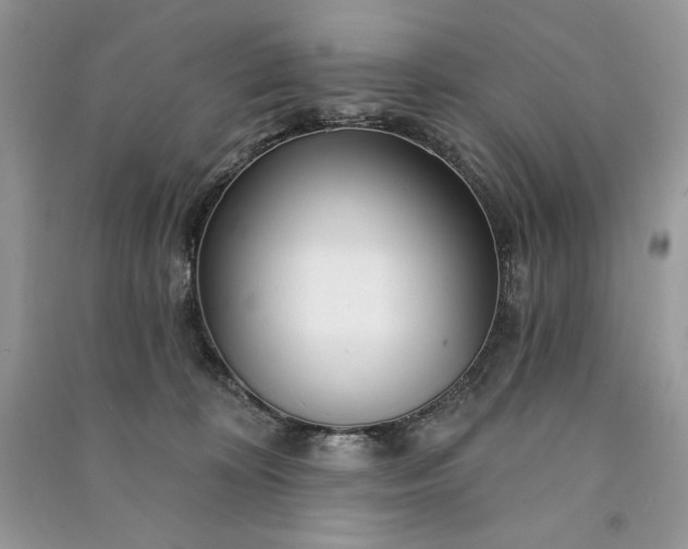 X0000090870324200708101339