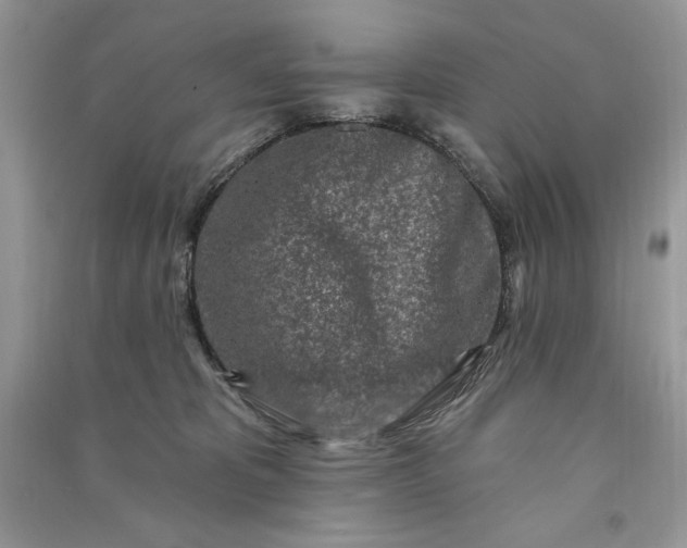 X0000090870325200708101339