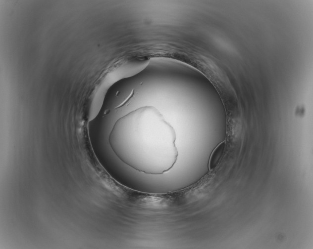 X0000090870326200708101339