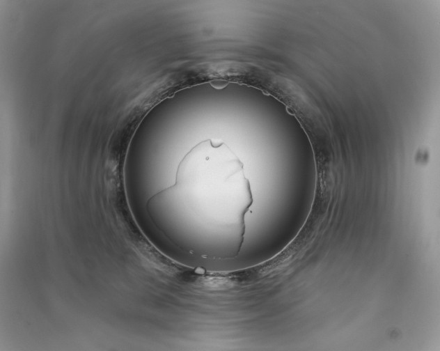 X0000090870327200708101339