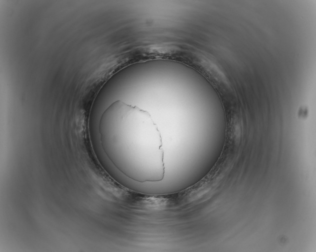 X0000090870328200708101339