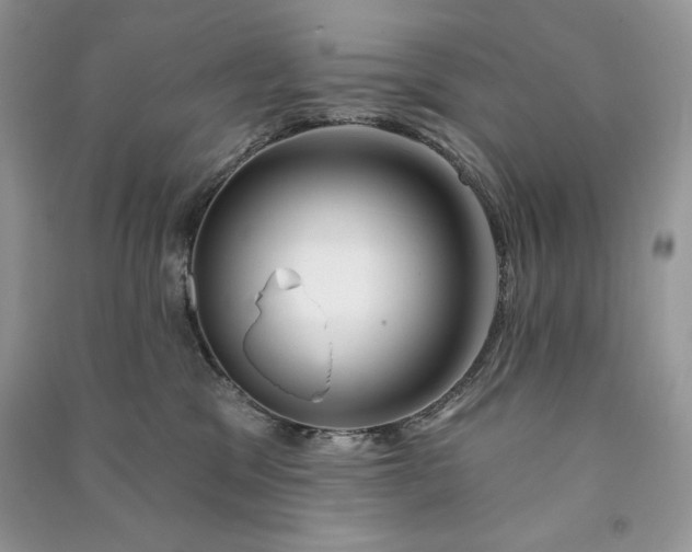 X0000090870329200708101339