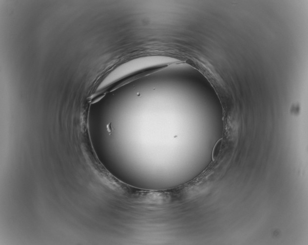 X0000090870330200708101339