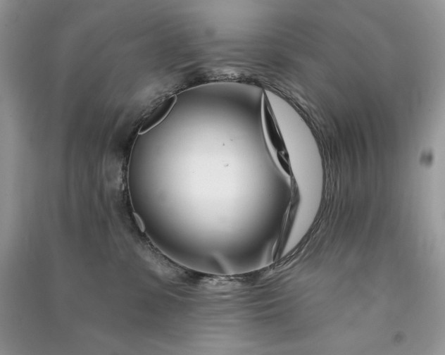 X0000090870331200708101339