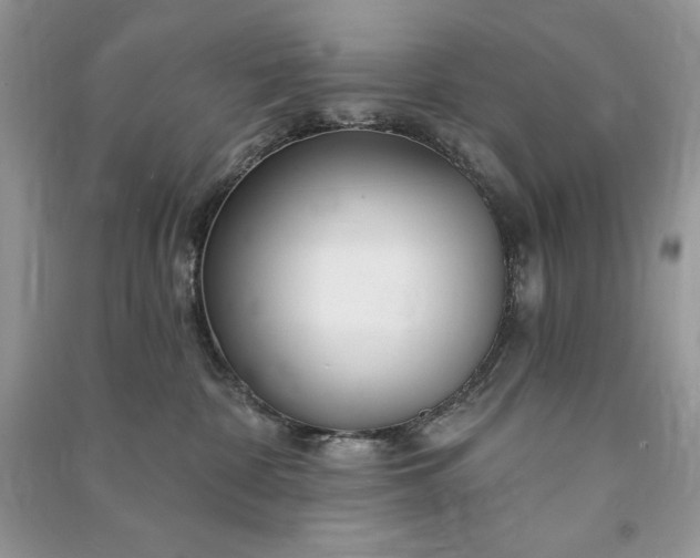 X0000090870332200708101339