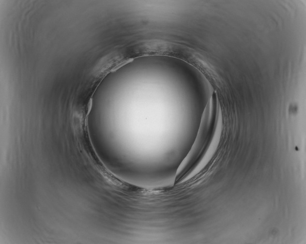 X0000090870333200708101339