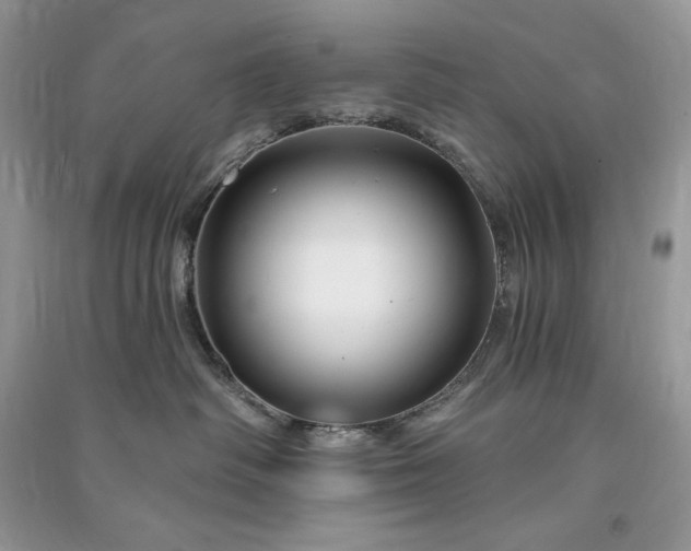 X0000090870334200708101339