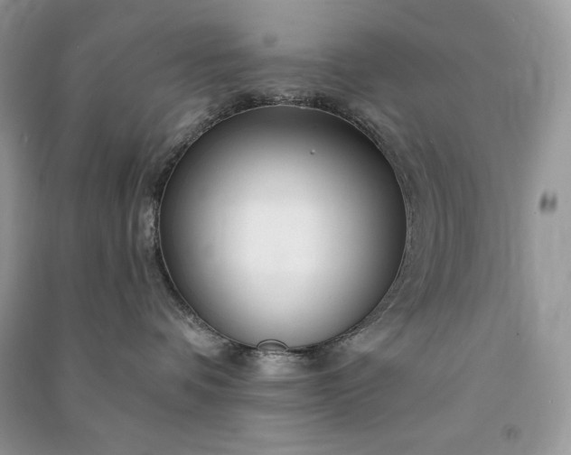 X0000090870336200708101339