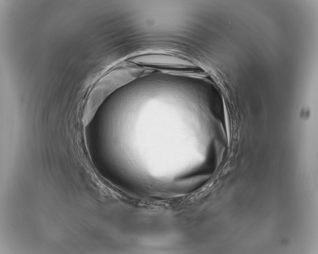 X0000090870337200708101338