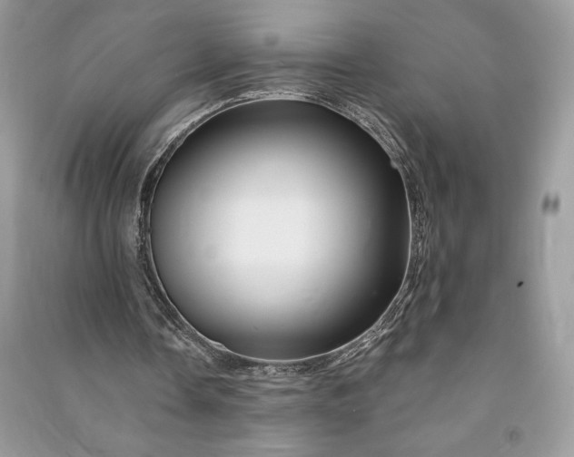 X0000090870338200708101338