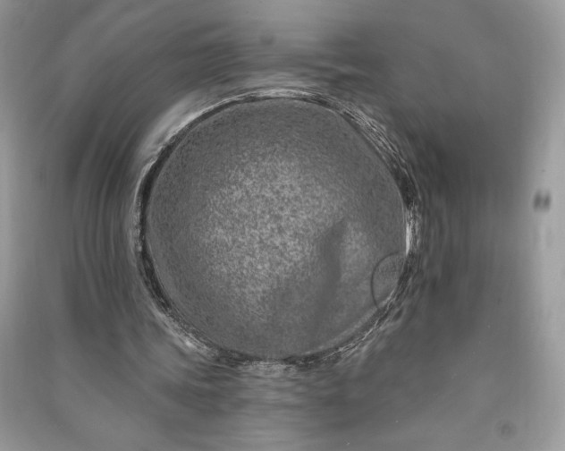 X0000090870339200708101338