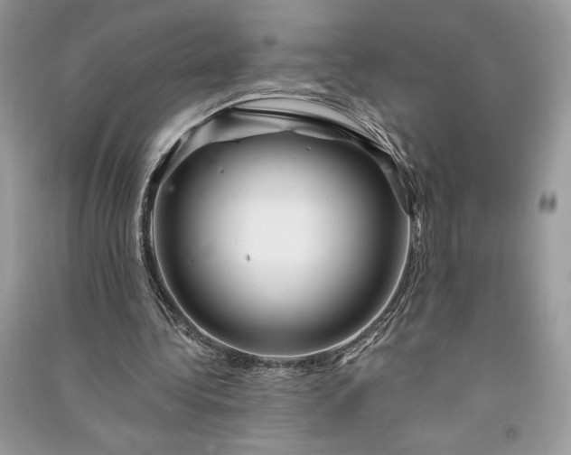 X0000090870340200708101338