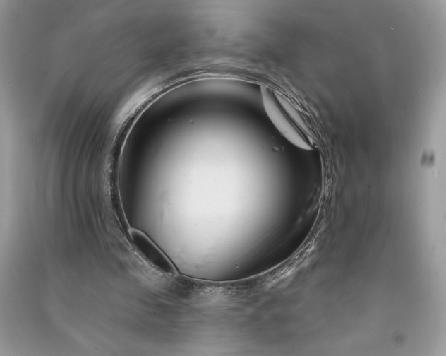 X0000090870341200708101338