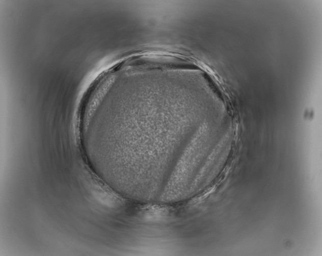 X0000090870343200708101338