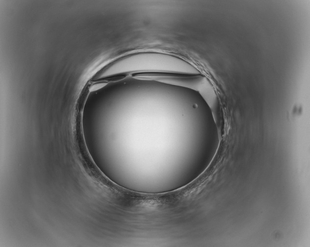 X0000090870344200708101338