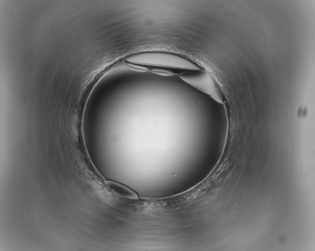 X0000090870345200708101338