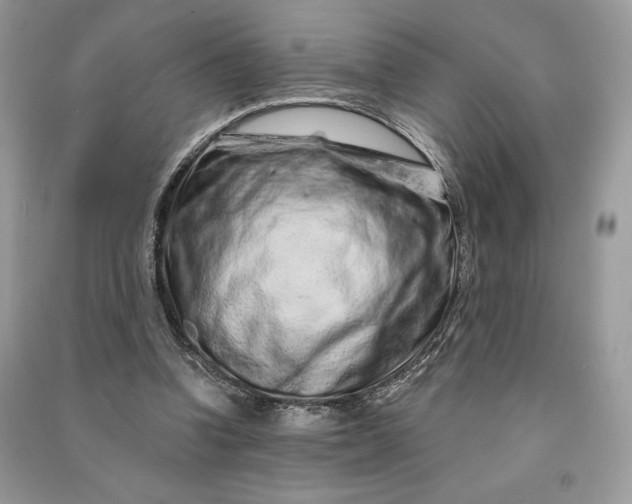 X0000090870346200708101338