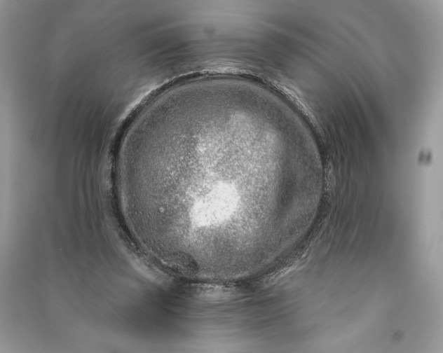 X0000090870347200708101338