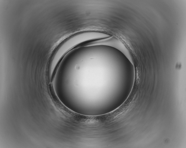 X0000090870348200708101338