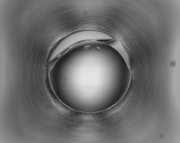 X0000090870349200708101338