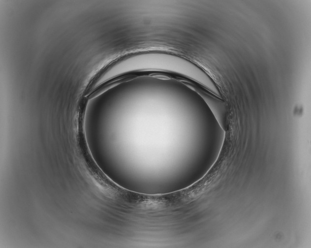 X0000090870350200708101338