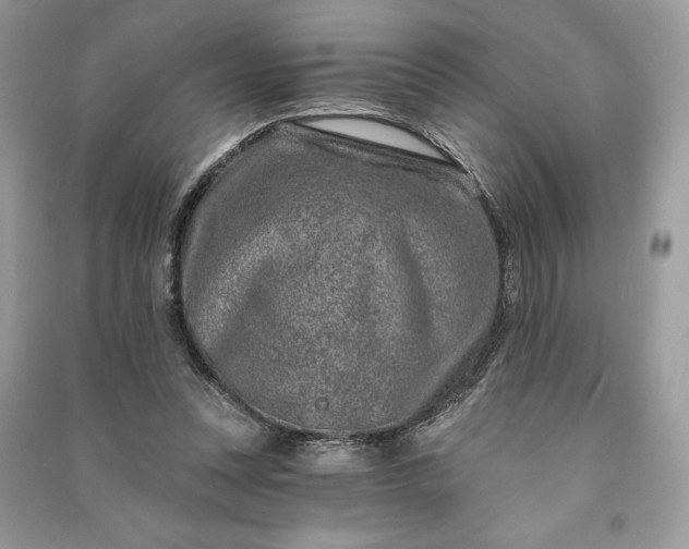 X0000090870351200708101338