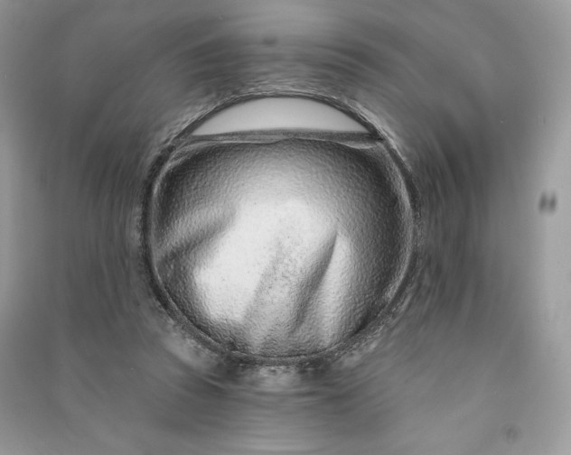 X0000090870353200708101338