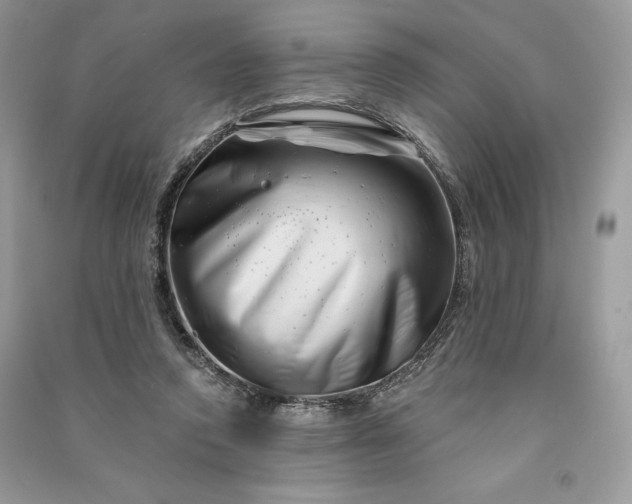 X0000090870354200708101338